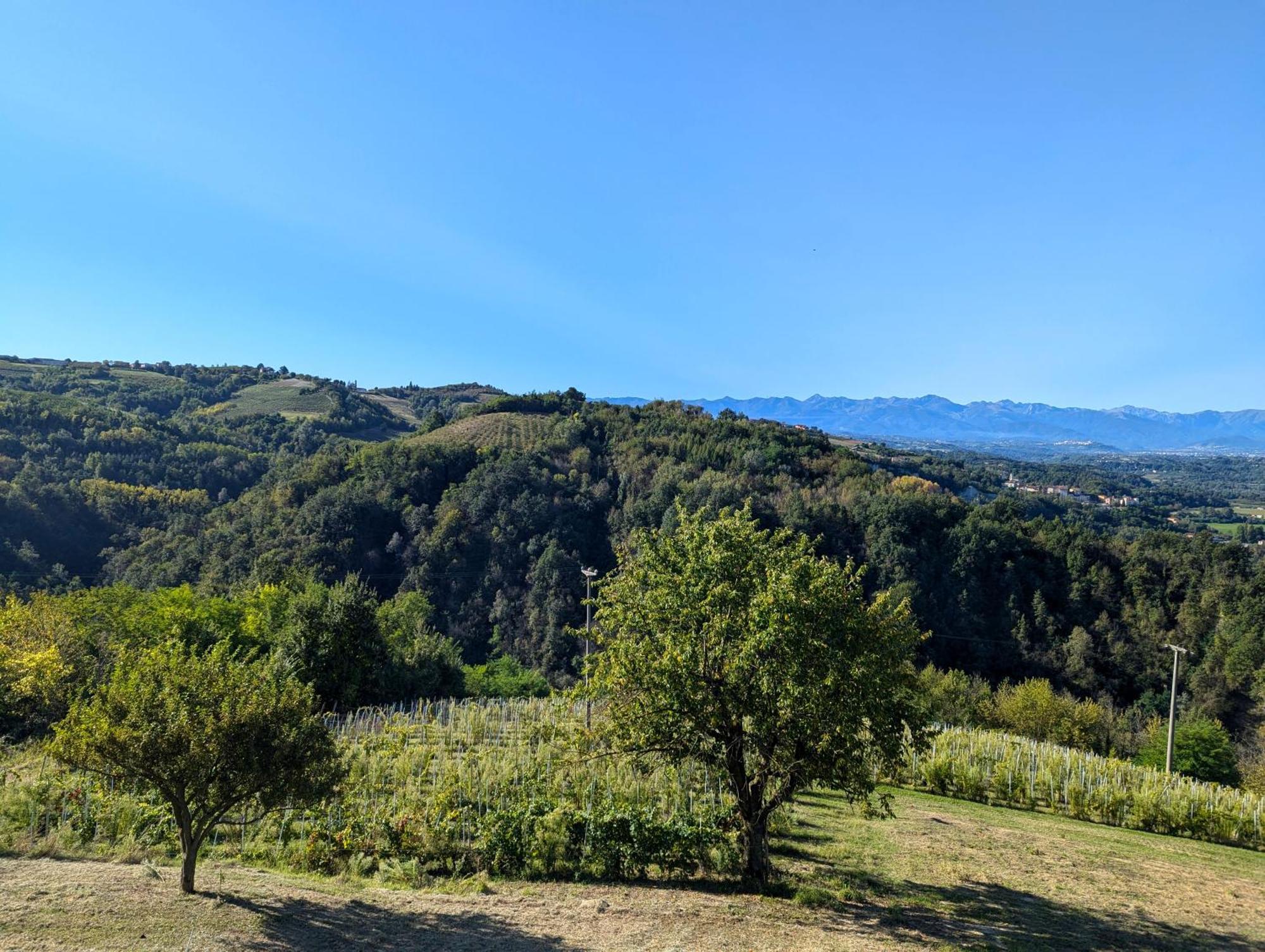 Casa Felice Villa Farigliano Exterior foto